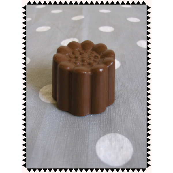 Reuze bonbon Zonnebloem