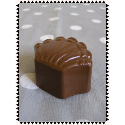 Reuze bonbon Schelp