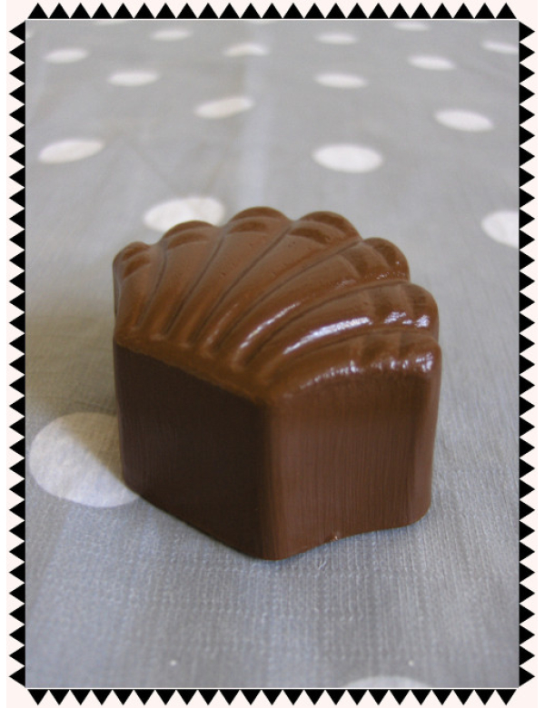 Reuze bonbon Schelp